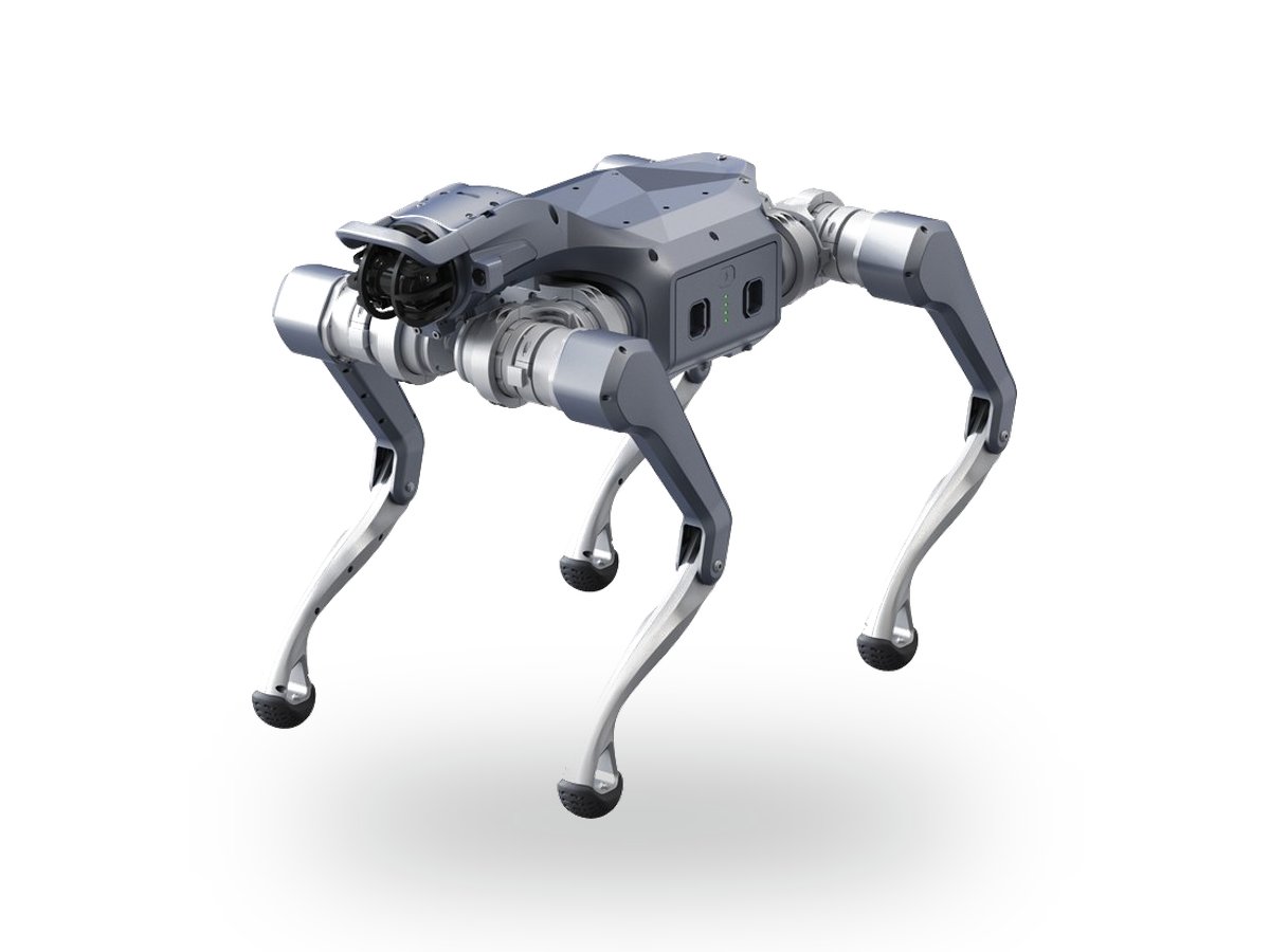 Quadruped robot dog