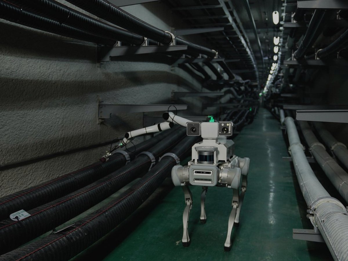 Industrial Quadruped — Jiaoying X30