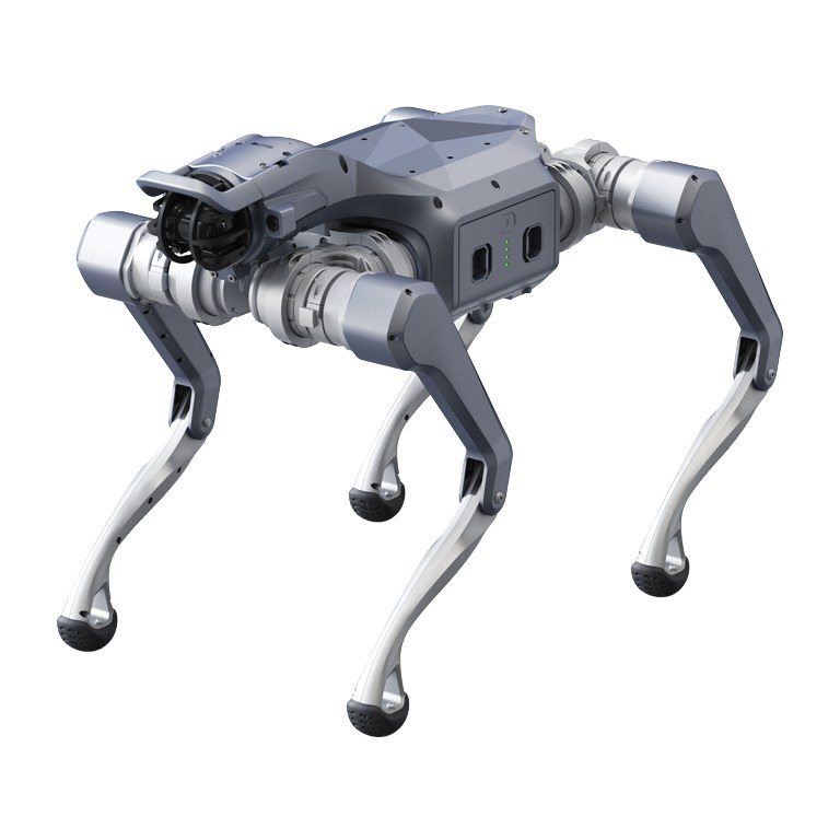 Quadruped Robot Dog — Unitree Go2