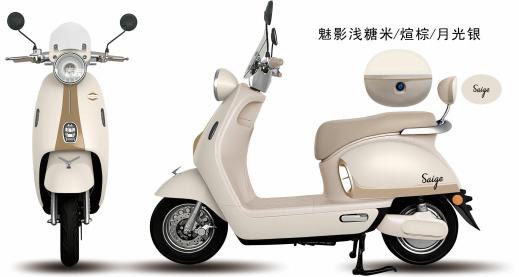 A6 Electric Moped/Scooter — 800W (Standard) / 1000W (Power)
